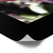 繊細な多肉株 ポスター (角)