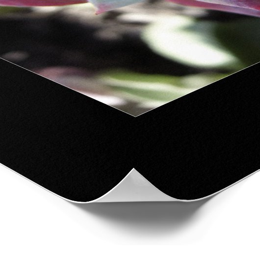 繊細な多肉株 ポスター (角)