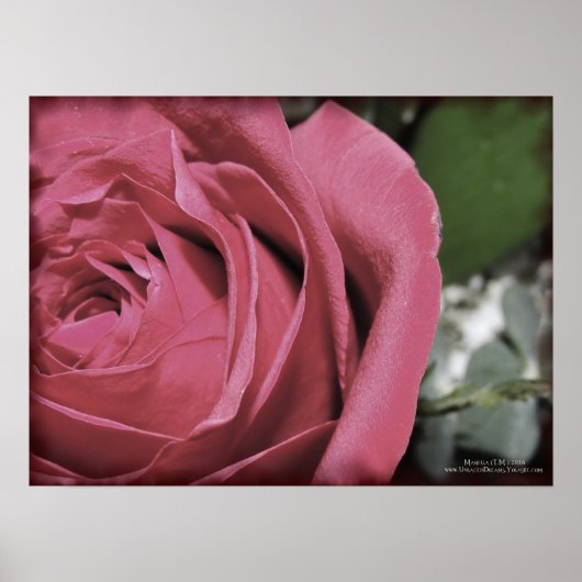 繊細な感覚 ポスター (正面)