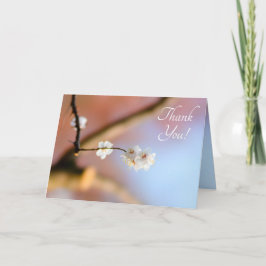 繊細な日本のアプリコットの花 サンキューカード