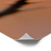 繊細な日本のアプリコットの花 ポスター (角)