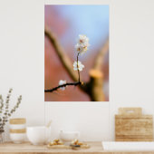 繊細な日本のアプリコットの花 ポスター (キッチン)