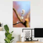 繊細な日本のアプリコットの花 ポスター (ホームオフィス)