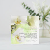 繊細な春の白い蘭のウェディング招待状 招待状 (スタンド正面)