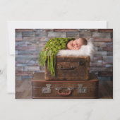 繊細な枝の誕生の発表 |赤面 案内状 (裏面)