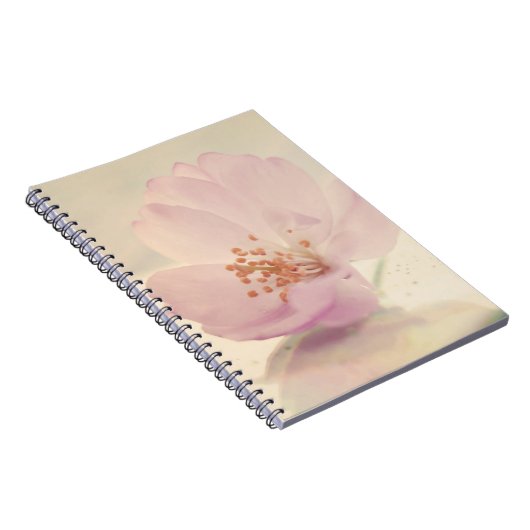 繊細な柔らかいピンクのさくらんぼ花 ノートブック (右側)