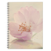 繊細な柔らかいピンクのさくらんぼ花 ノートブック (正面)