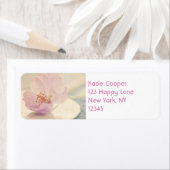 繊細な柔らかいピンクのさくらんぼ花 ラベル (インサイチュ)