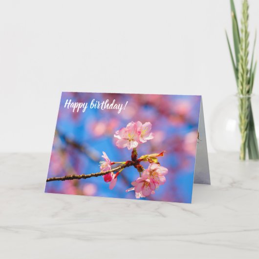 繊細な桜の美しさが青空に映える カード (正面)