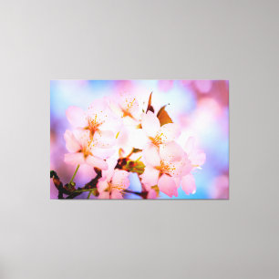 繊細な桜の花 キャンバスプリント