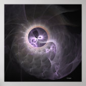 繊細な殻 ポスター (正面)