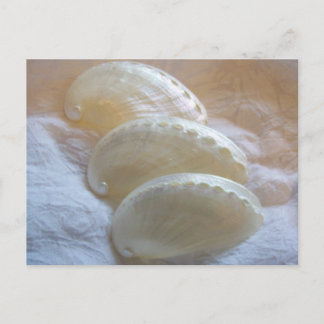 繊細な渦模様 ポストカード