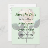 繊細な白いバラがデートを救う 案内ポストカード (正面/裏面)