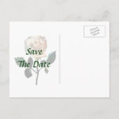 繊細な白いバラがデートを救う 案内ポストカード (裏面)