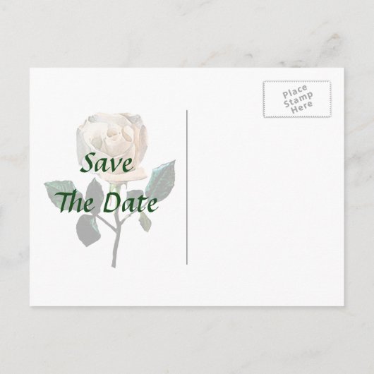 繊細な白いバラがデートを救う 案内ポストカード (裏面)