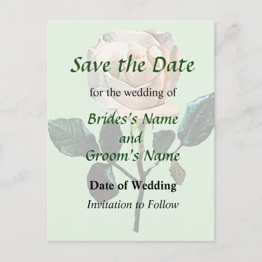 繊細な白いバラがデートを救う 案内ポストカード (正面)