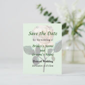 繊細な白いバラがデートを救う 案内ポストカード (スタンド正面)