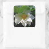 繊細な白い蓮の花のステッカー スクエアシール (バッグ)