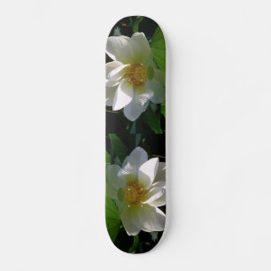 繊細な白い蓮の花を持つスケートボード スケートボード