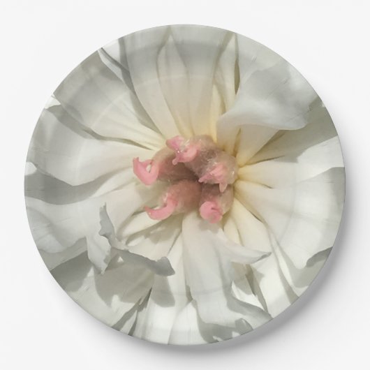 繊細な白とピンクの牡丹 ペーパープレート (正面)