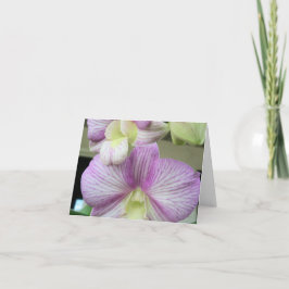 繊細な白と紫のランのサンキューカード サンキューカード