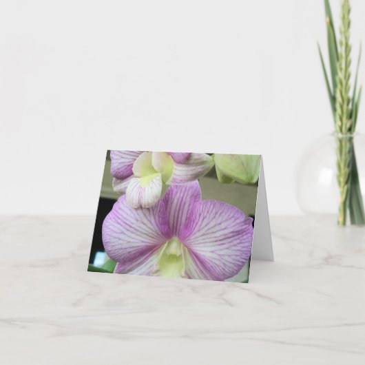 繊細な白と紫のランのサンキューカード サンキューカード (正面)