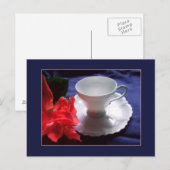 繊細な白のドミタース ポストカード (正面/裏面)