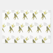 繊細な目を引く水の色の本眼鏡装置 ラッピングペーパーシート (正面2)