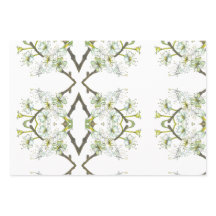 繊細な目を引く水の色の本眼鏡装置