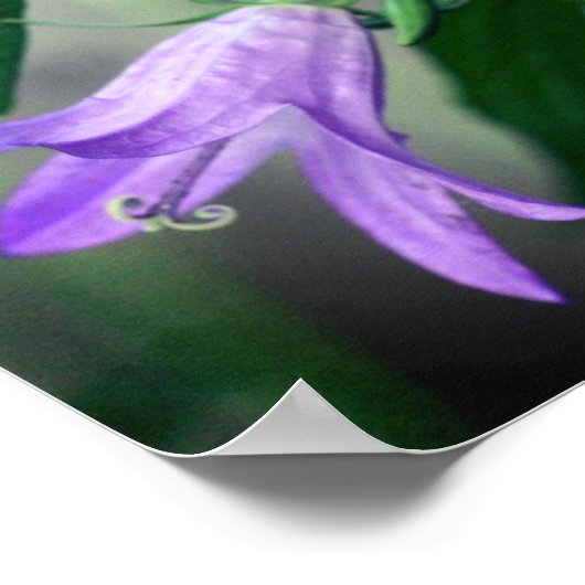 繊細な紫のユリ花鏡抽象芸術 ポスター (角)