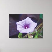 繊細な紫の花のクローズアップ写真