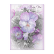 繊細な紫色のパンジーありがとうはがき