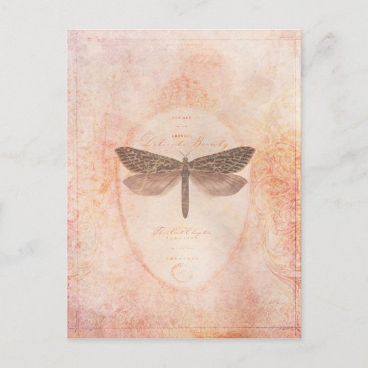 繊細な美しいはがき ポストカード (正面)