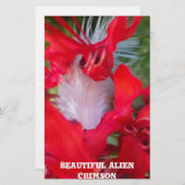 繊細な美しい：白い羽毛の赤い花 便箋 (正面/裏面)