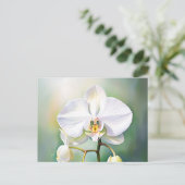 繊細な花びらを持つ水色の白い蘭 ポストカード (スタンド正面)