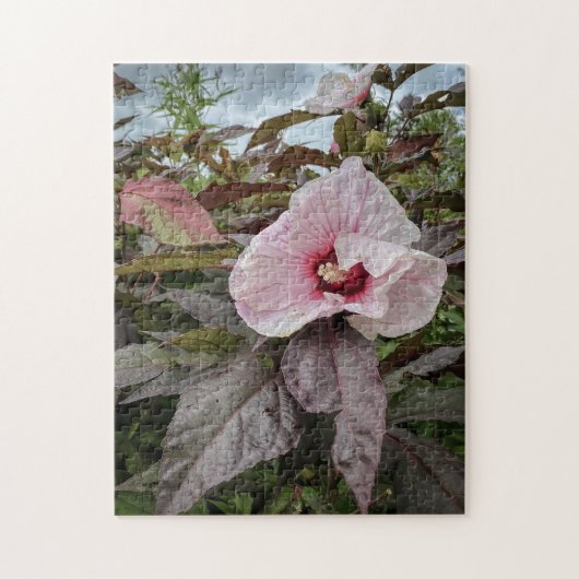 「繊細な花びら」ハイビスカスの花 ジグソーパズル (縦)