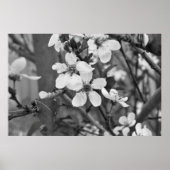 繊細な花3623 ポスター (正面)