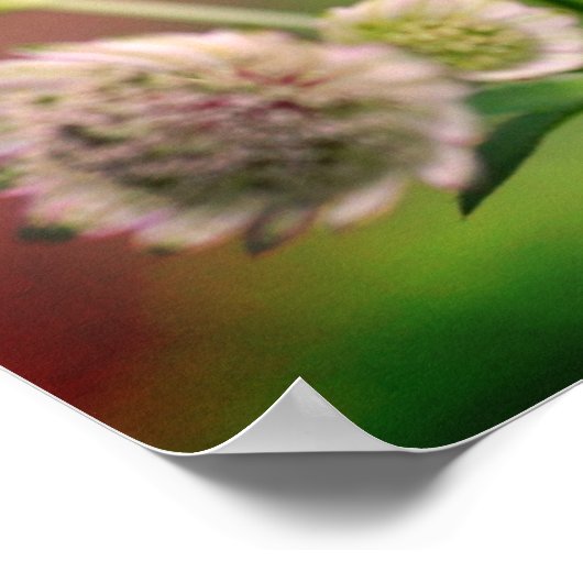 繊細な花 ポスター (角)