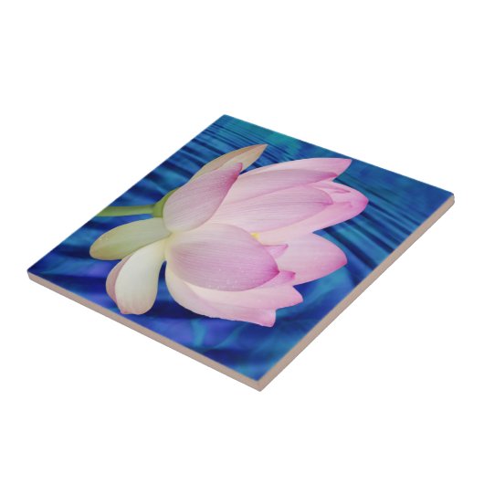 繊細な蓮の花と意味 タイル (側面)