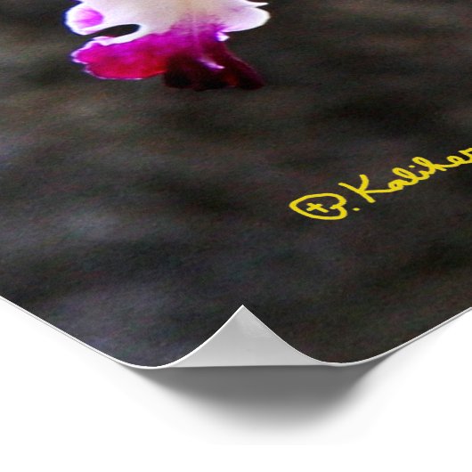 繊細な蘭の花のウォールアート28x22ポスター ポスター (角)