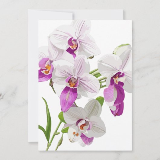 繊細な蘭結婚昼 招待状 (裏面)