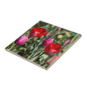 繊細な赤と紫のチューリップ タイル (側面)