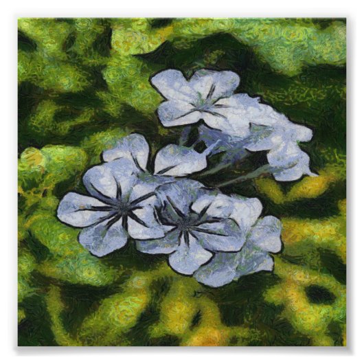 繊細な青いプラムバゴ絵画の花 フォトプリント (正面)