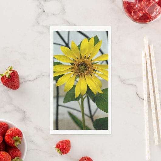 繊細な黄色のひまわり (インサイチュ)