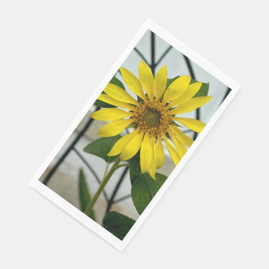繊細な黄色のひまわり (コーナー)