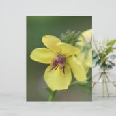 繊細な黄色の花のクローズアップスクラップブック (スタンド正面)