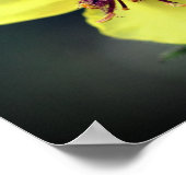 繊細な黄色の野草 ポスター (角)