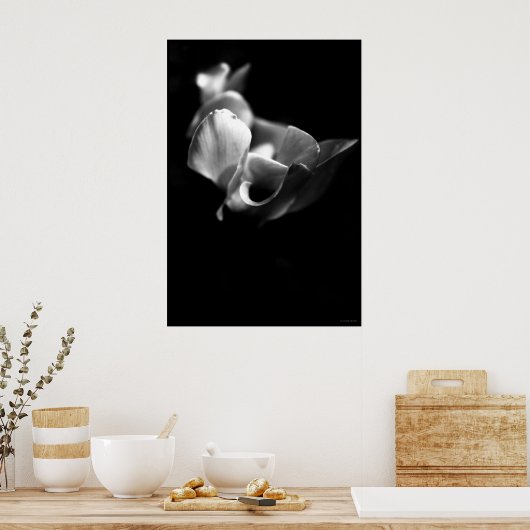 繊細な ポスター (キッチン)