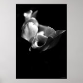 繊細な ポスター (正面)