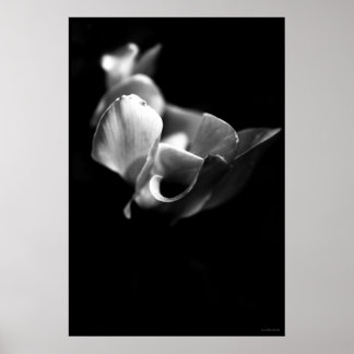 繊細な ポスター